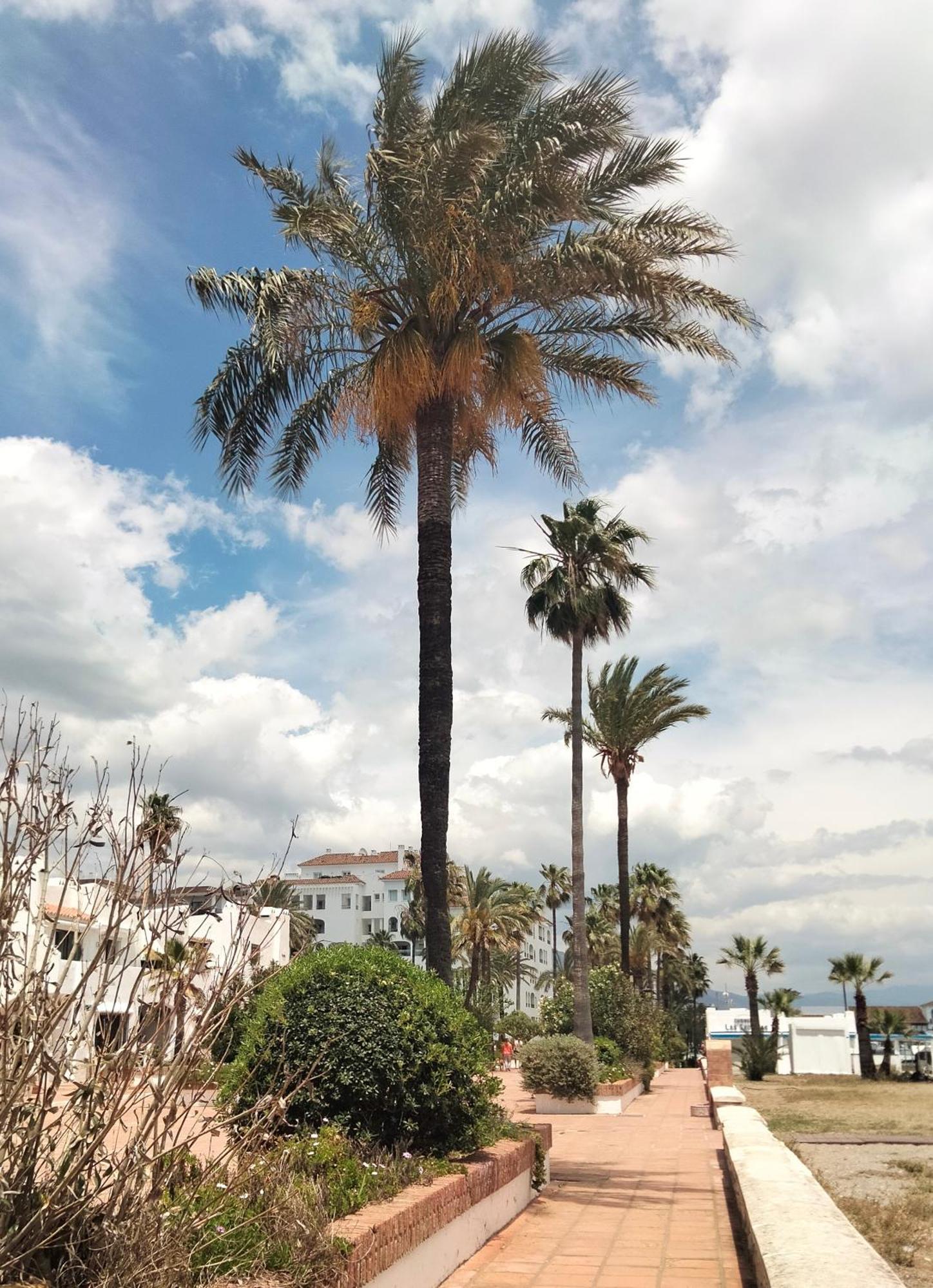 Apartamento Primera Linea De Playa 마닐바 외부 사진